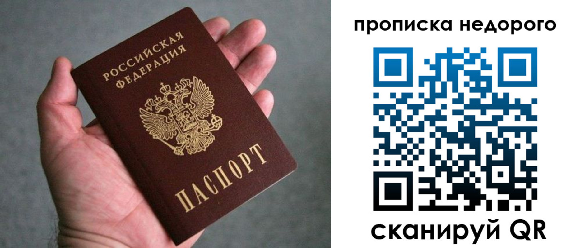 прописка поиск в Шуе